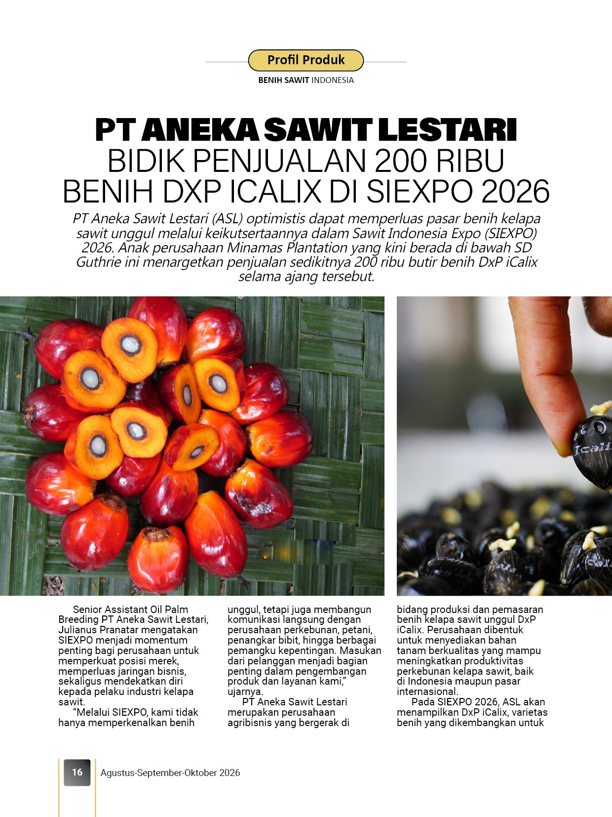 Majalah Benih Sawit Indonesia - Foto 8